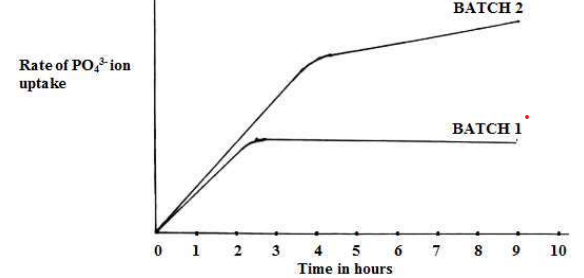 Graph showing the rate of PO4^3- ion uptake over time for Batch 1 and Batch 2